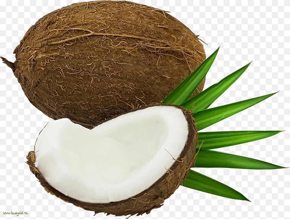 Transparent Coconut Oil Clipart Kokos Kartinka, Food, Fruit, Plant, Produce Png Image