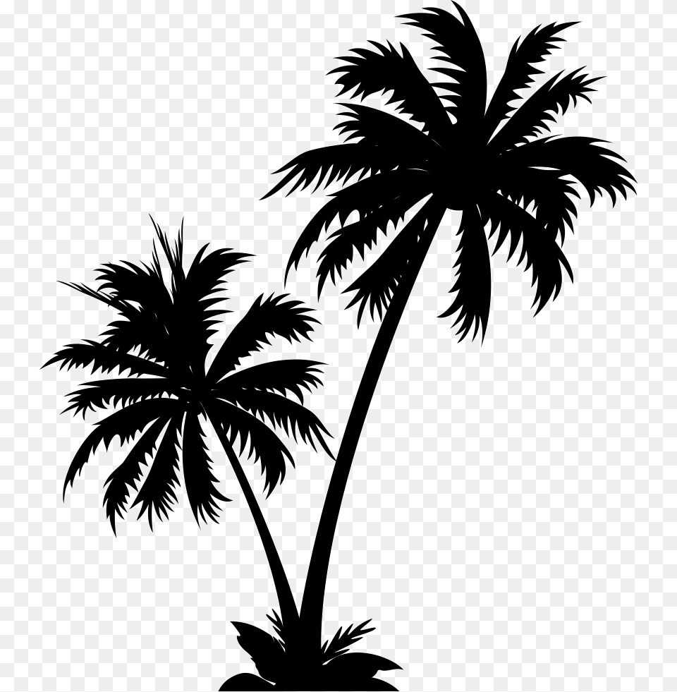Transparent Coconut Tree Vector Coconut Tree Vector, Palm Tree, Plant, Silhouette, Stencil Free Png