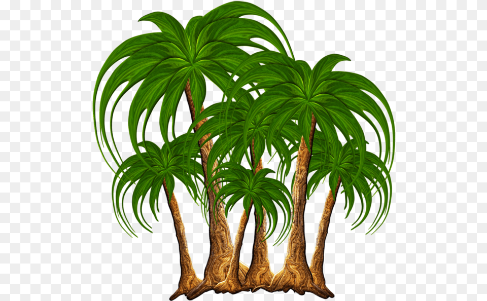 Transparent Coconut Trees Clipart, Leaf, Palm Tree, Plant, Tree Png Image