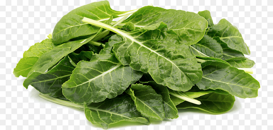 Transparent Collard Greens Green Leafy Vegetables, Food, Plant, Produce, Leafy Green Vegetable Png