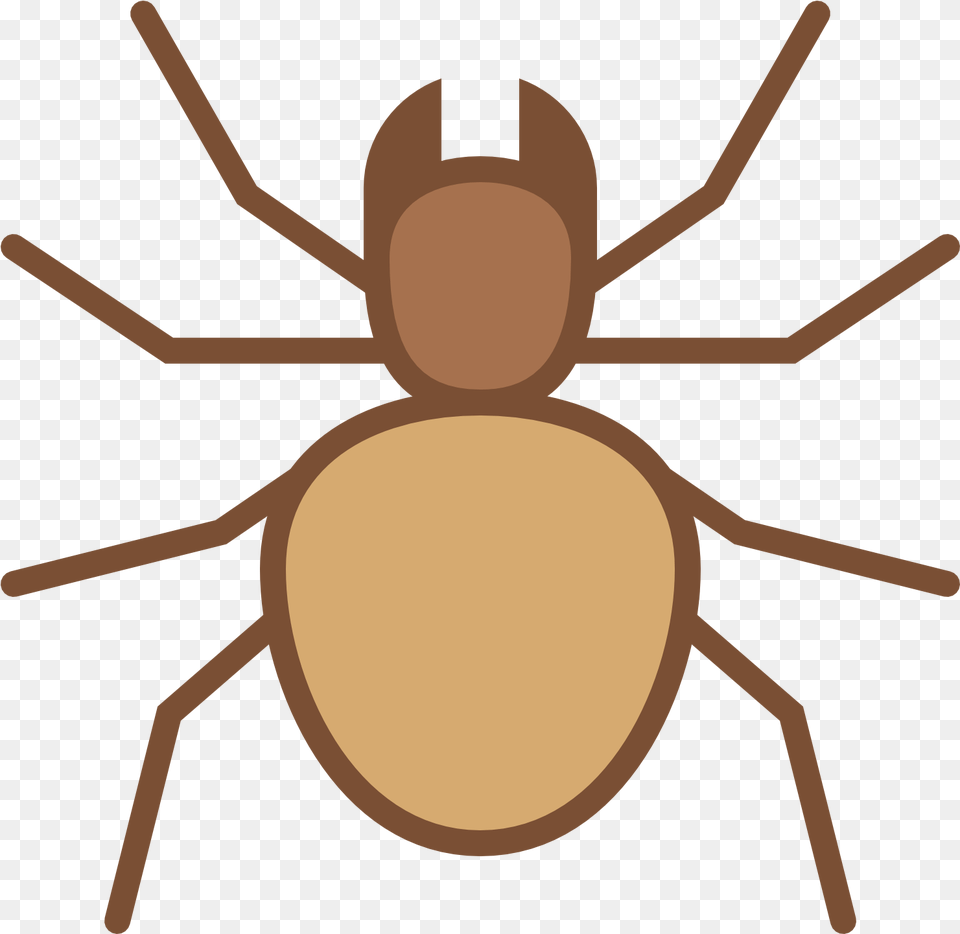 Transparent Colorful Spiders Clipart Weevil, Animal Free Png