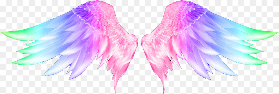 Transparent Colorful Wings, Accessories, Angel, Animal, Bird Free Png Download