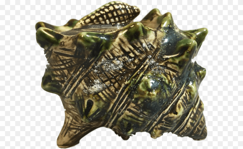 Transparent Conch Bronze Sculpture, Animal, Invertebrate, Sea Life, Seashell Png
