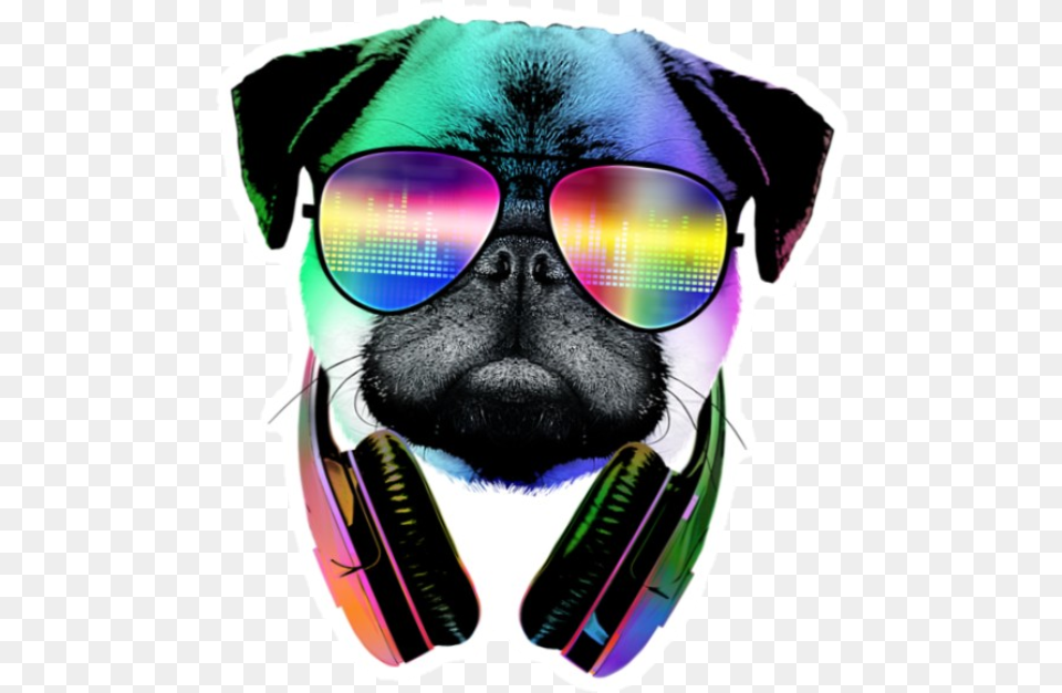 Transparent Cool Dog Dj Pug, Adult, Male, Man, Person Free Png Download