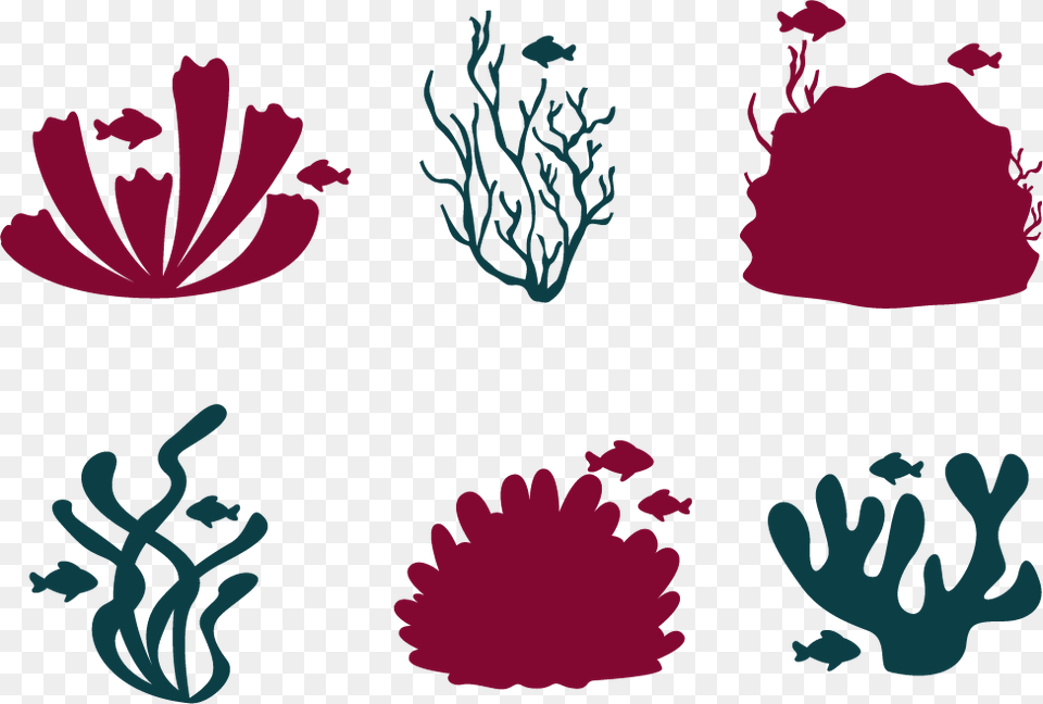 Transparent Coral Reef Fish Clipart Coral Reef Vector, Art, Graphics, Floral Design, Pattern Png