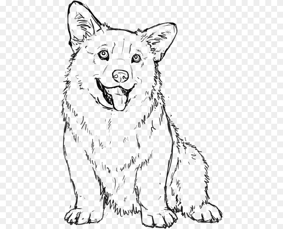 Corgi Clipart Corgi Puppy Coloring Page, Person, Art, Drawing Free Transparent Png