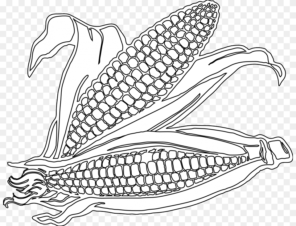 Corn Stalks Corn Picture Black And White, Food, Grain, Plant, Produce Free Transparent Png