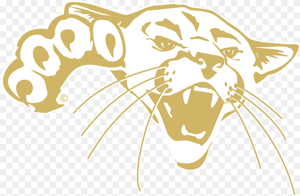Transparent Cougar Logo Barton Community College Cougars, Face, Head, Person, Animal Png Image