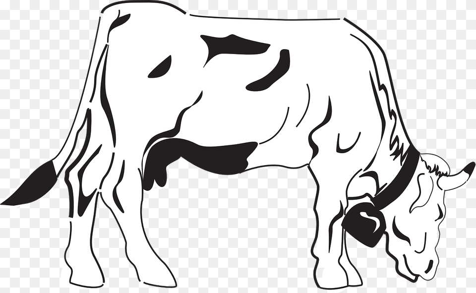 Transparent Cow Clipart Black And White Cows Coloring, Animal, Cattle, Dairy Cow, Livestock Free Png Download