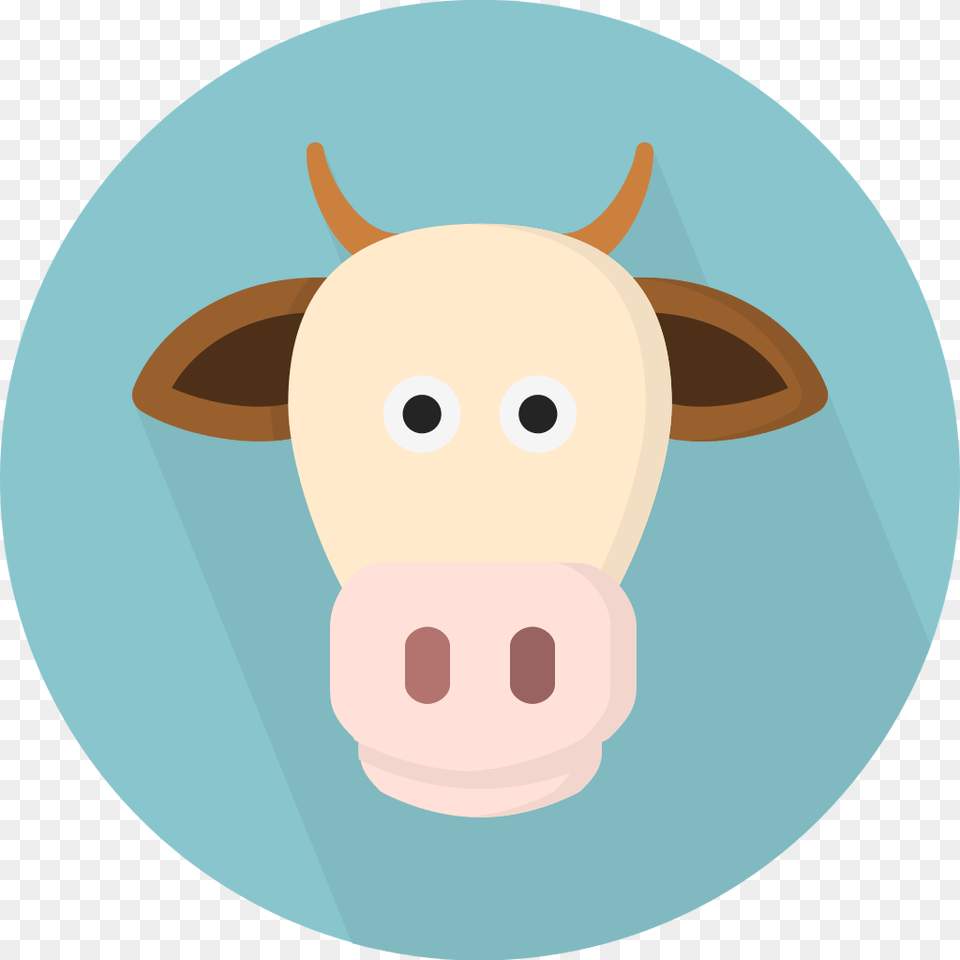 Transparent Cow Icon, Snout, Animal, Mammal, Nature Png