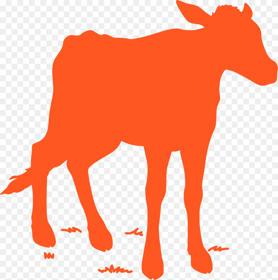 Transparent Cow Jumping Clipart Cattle, Logo Free Png