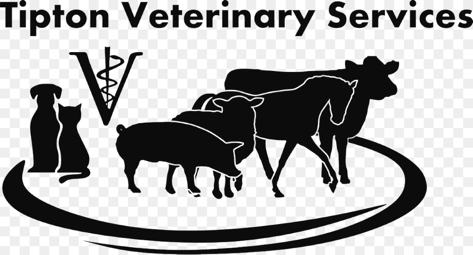 Cow Jumping Clipart Large Animal Veterinary Clipart, Silhouette, Pig, Mammal, Stencil Free Transparent Png