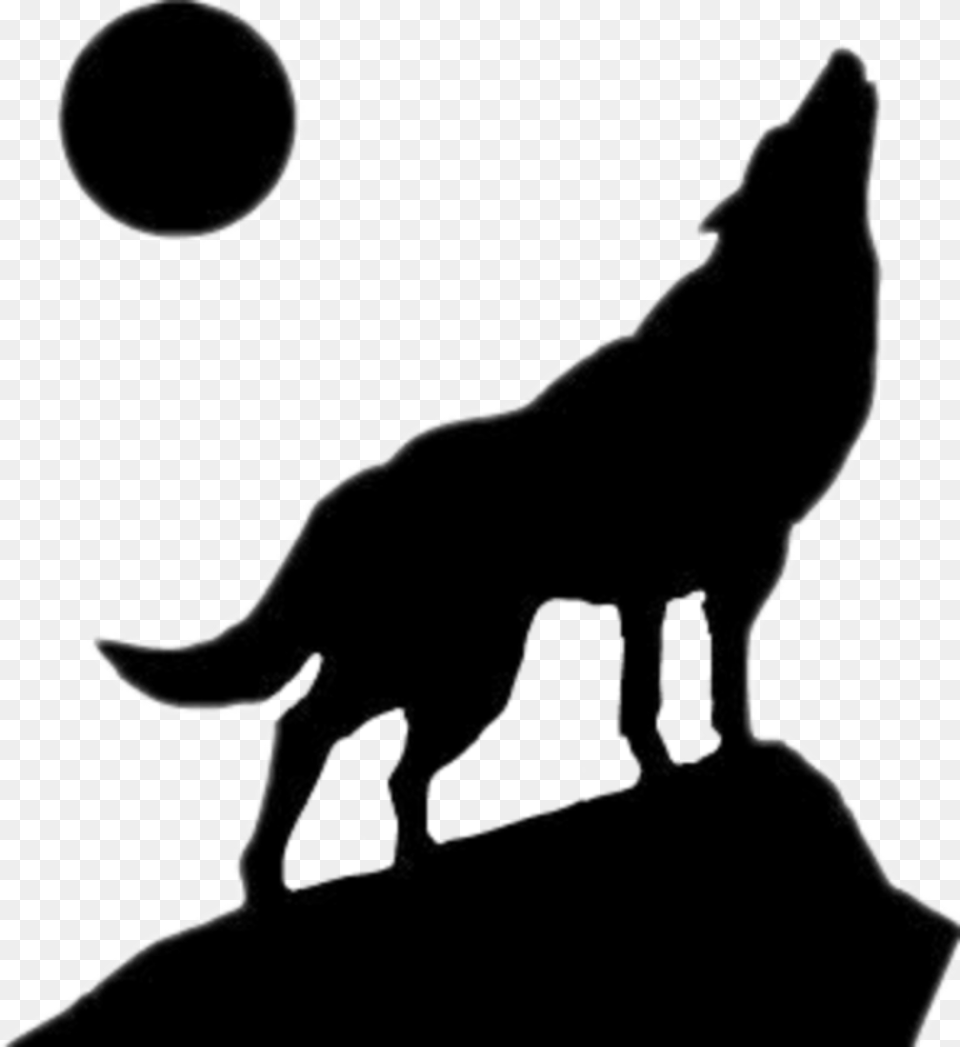Transparent Coyote Clipart Black And White Wolf Stencil, Silhouette, Outdoors, Night, Nature Free Png