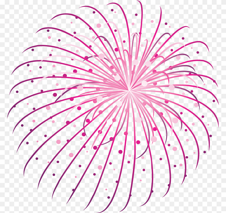 Crackers, Fireworks, Plant Free Transparent Png