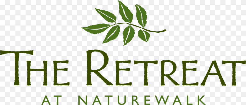 Transparent Crape Myrtle Valley Natural Foods, Green, Herbal, Herbs, Leaf Png