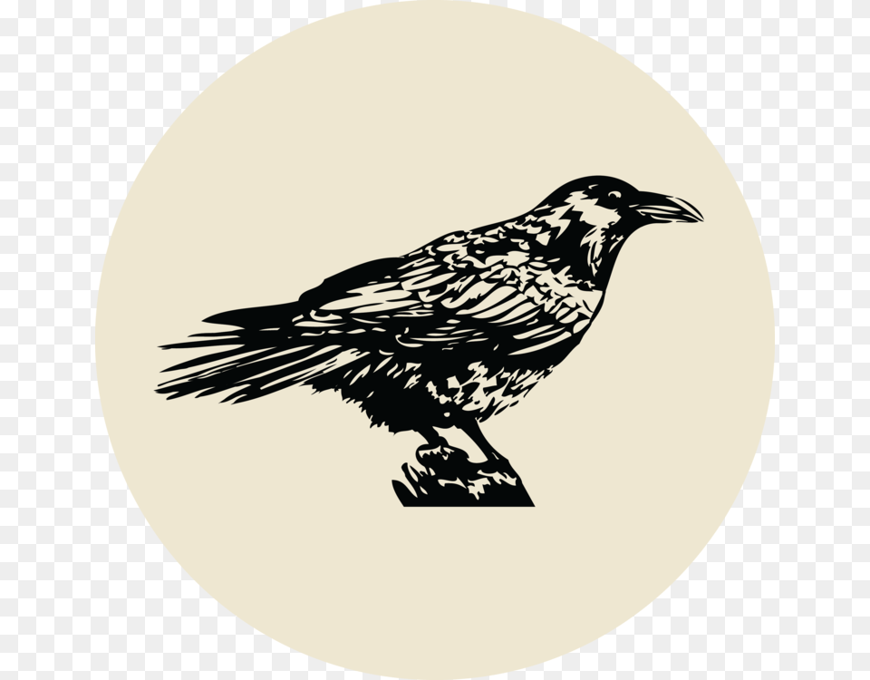 Transparent Crossed Drumsticks Clipart Illustration, Animal, Bird, Blackbird Free Png