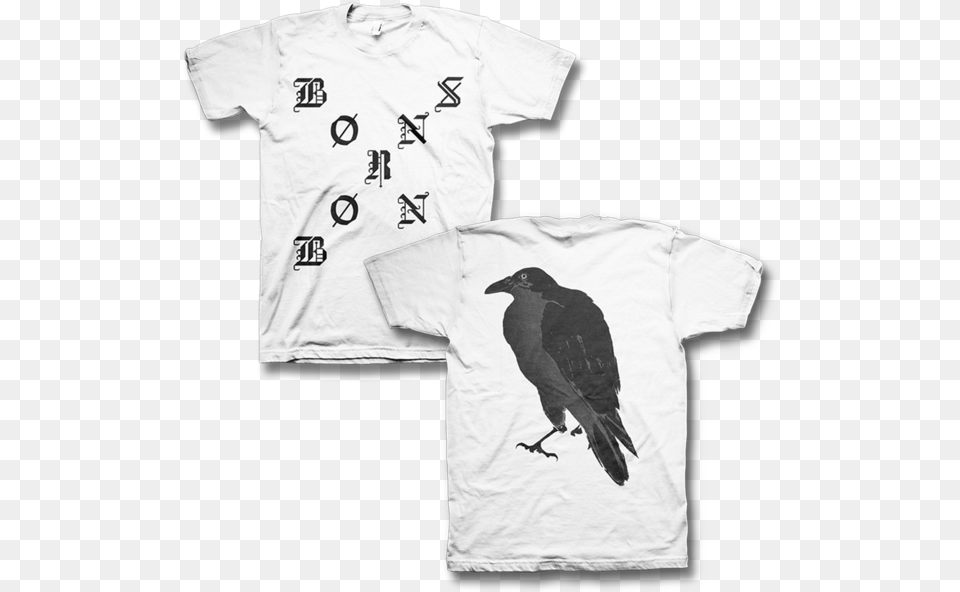 Transparent Crow Feather Crow Resting On Wood Trunk, Clothing, T-shirt, Animal, Bird Png Image