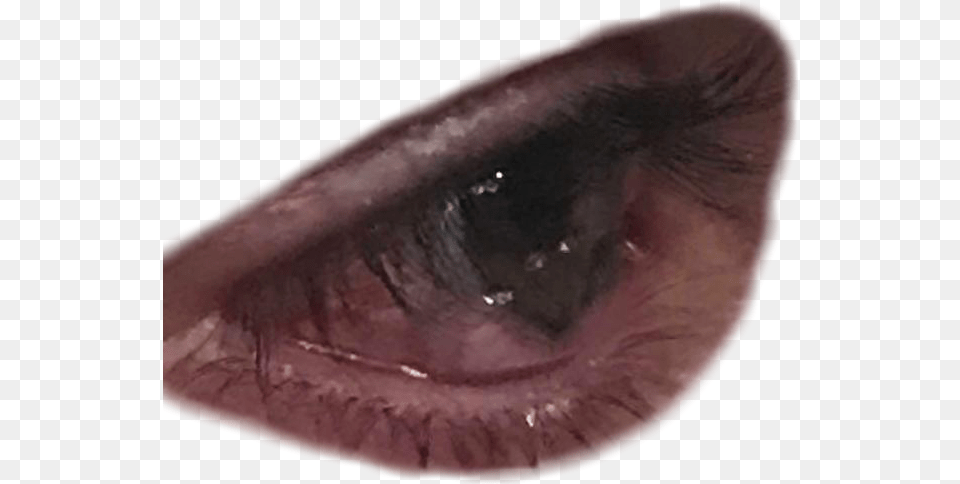 Transparent Crying Eyes Crying Eyes Transparent, Person Free Png Download