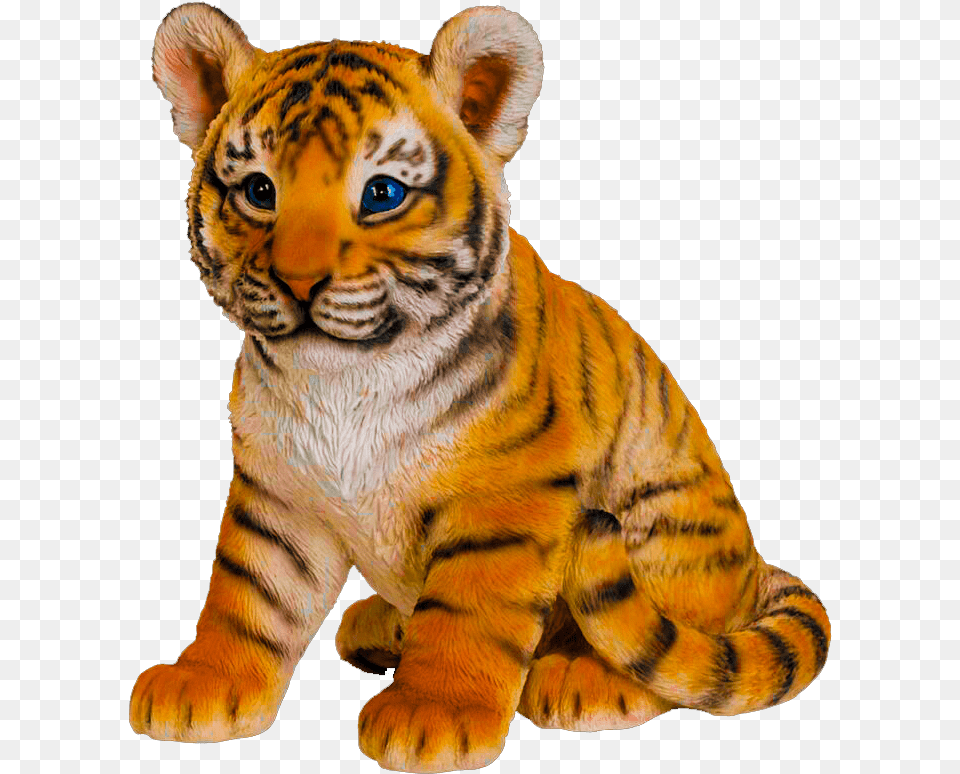 Transparent Cute Animals, Animal, Mammal, Tiger, Wildlife Png Image