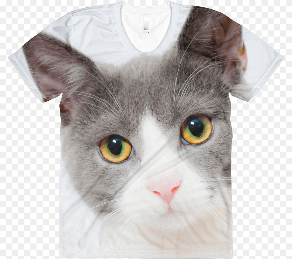 Transparent Cute Cat Cat Face, Clothing, T-shirt, Animal, Mammal Png