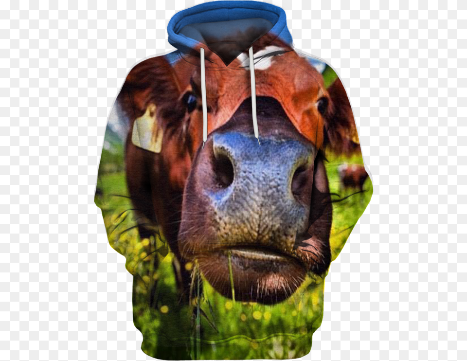 Transparent Cute Cow Photograph, Snout, Sweatshirt, Clothing, Hoodie Free Png