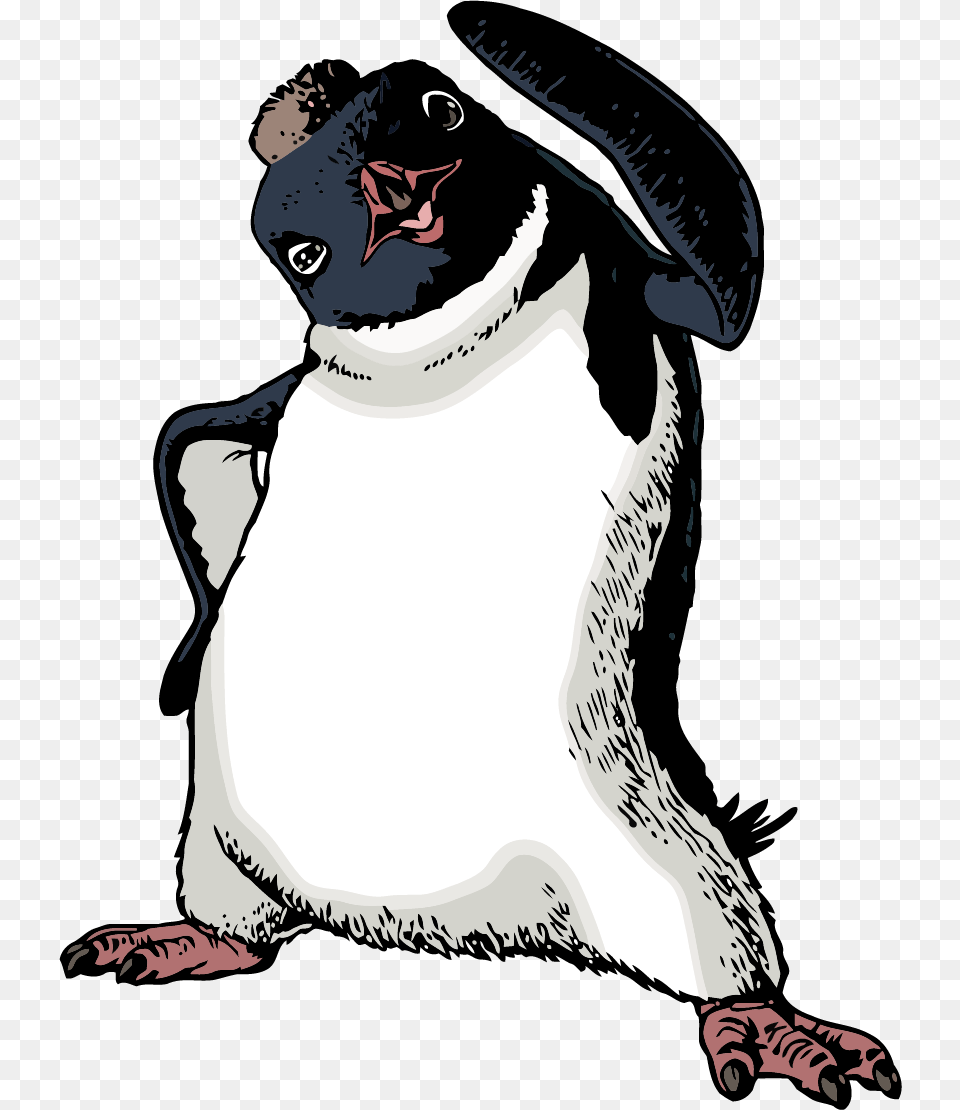 Transparent Cute Penguin Clipart Penguin Cartoon Happy Feet, Adult, Bride, Female, Person Free Png