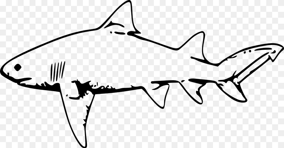 Transparent Cute Shark Clipart Shark Black And White Clipart, Gray Free Png