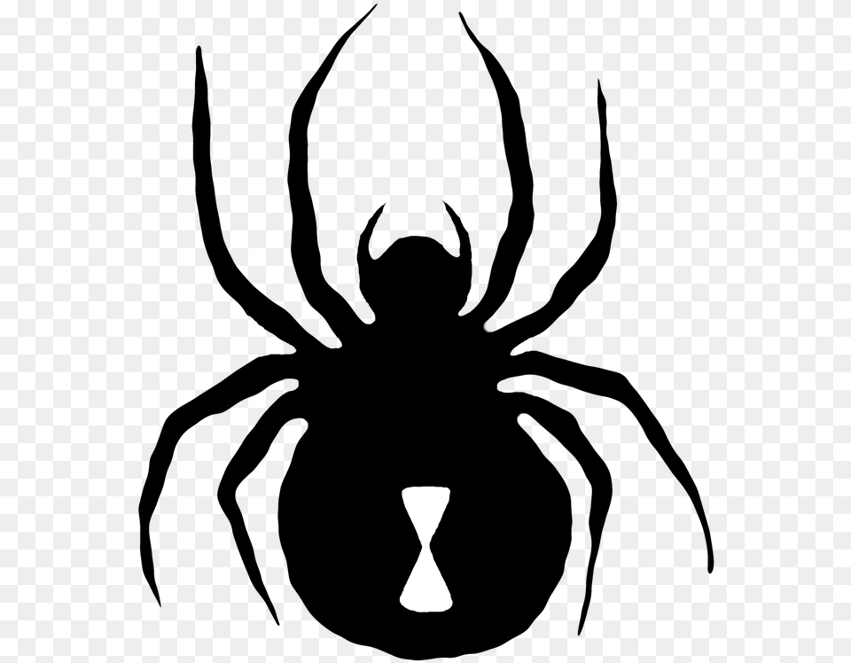Transparent Cute Spider Clipart Insect, Silhouette, Hourglass Png