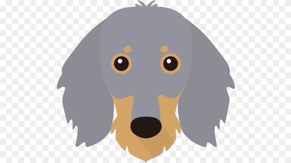 Transparent Dachshund Face Clipart Gordon Setter Icon, Snout, Baby, Person, Animal Png Image