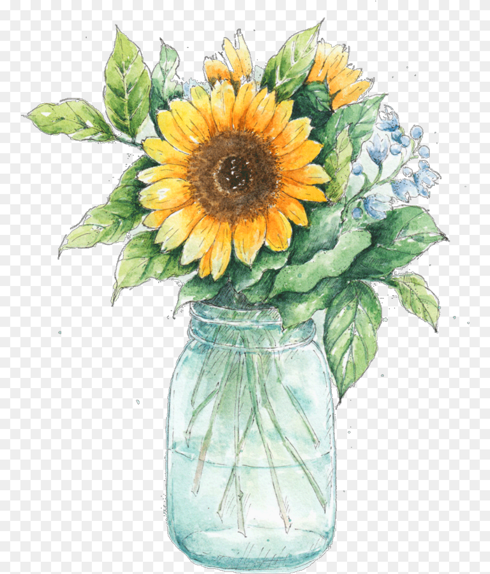 Transparent Daffodils Clipart Sunflower In A Mason Jar, Flower, Flower Arrangement, Plant, Pottery Free Png