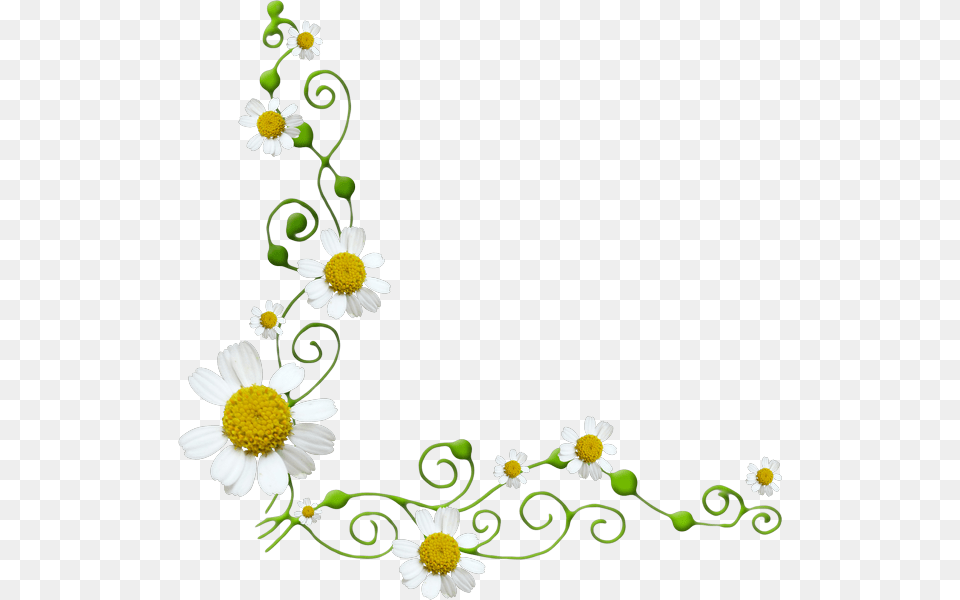 Transparent Daisy Flower Border, Art, Floral Design, Graphics, Pattern Free Png