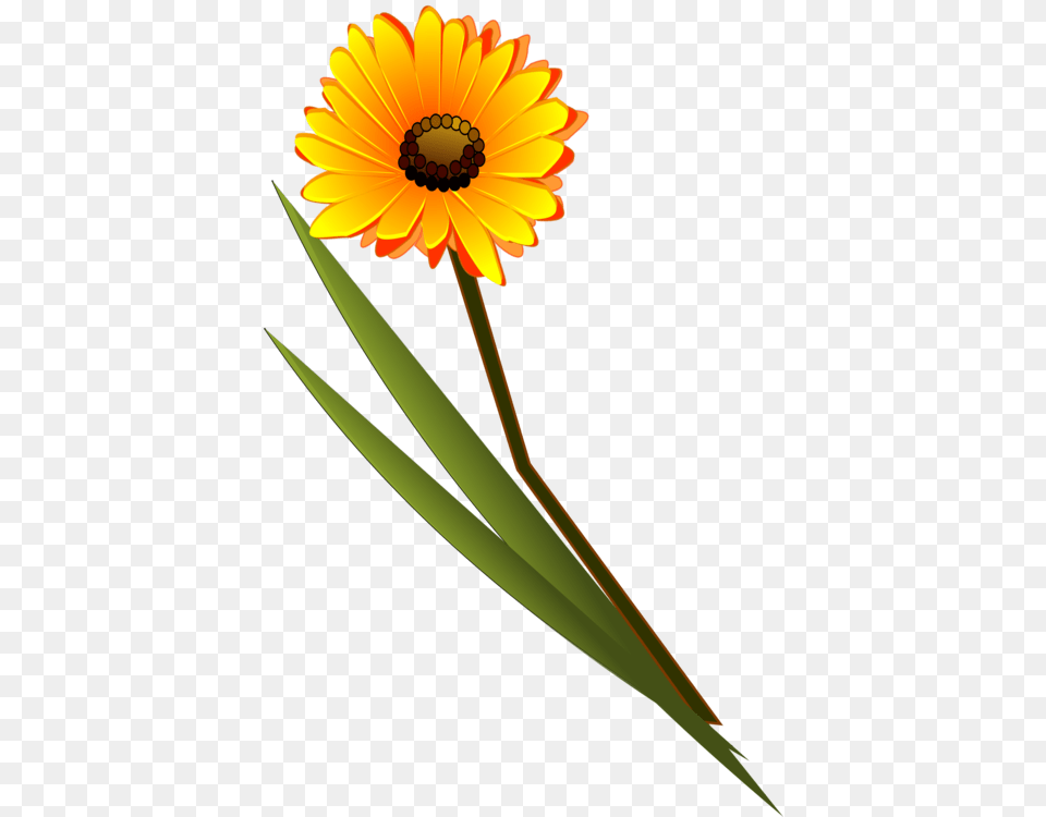 Transparent Daisy Flower Clipart Flower Clip Art, Petal, Plant, Sunflower, Blade Free Png