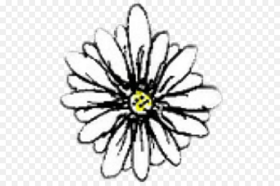 Transparent Daisy Tumblr Transparent Summer Aesthetic Transparent Tumblr Flower, Dahlia, Plant, Anemone Png Image