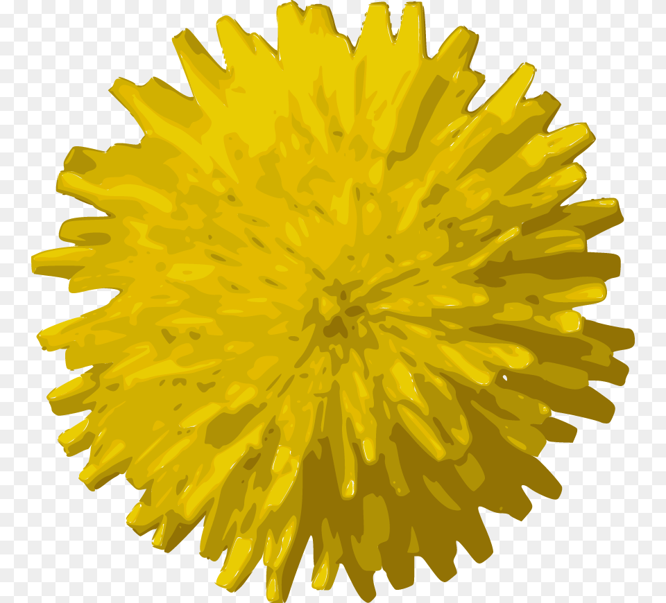 Dandelion Vector Flowers, Flower, Plant Free Transparent Png