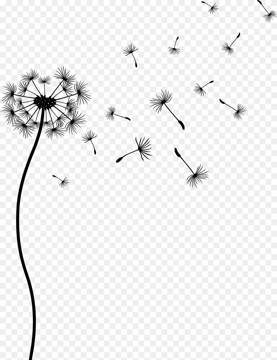 Dandilion Dandelion, Firearm, Gun, Rifle, Stencil Free Transparent Png