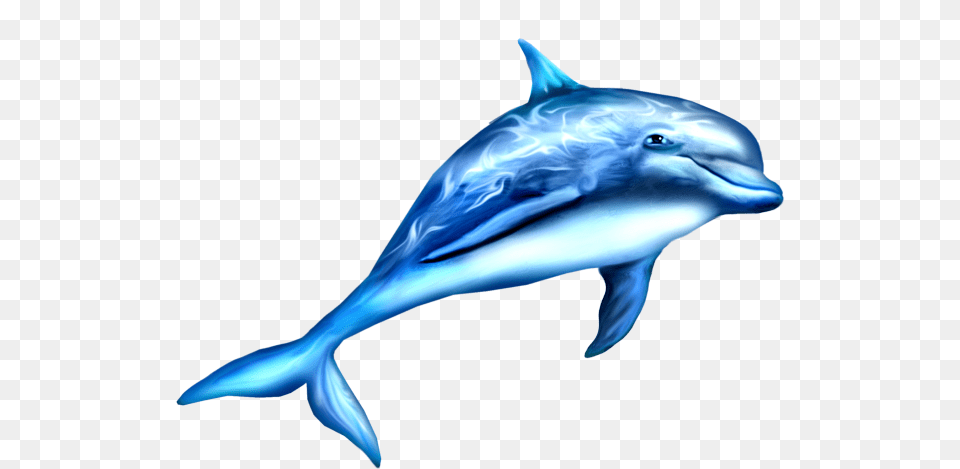 Transparent Dauphin, Animal, Dolphin, Mammal, Sea Life Png Image
