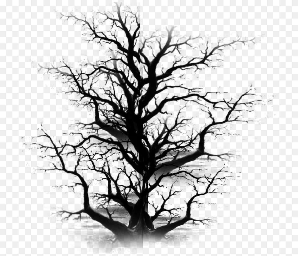 Transparent Dead Tree Dead Trees Files, Gray Png Image