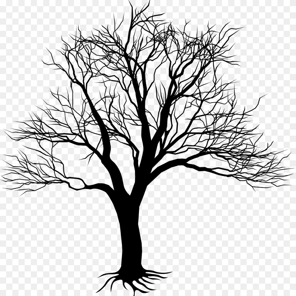 Transparent Dead Tree Kill A Mockingbird Tree, Nature, Night, Outdoors Free Png