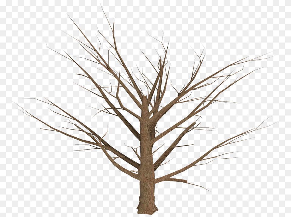 Transparent Dead Tree Logo, Plant, Tree Trunk, Wood, Outdoors Free Png Download