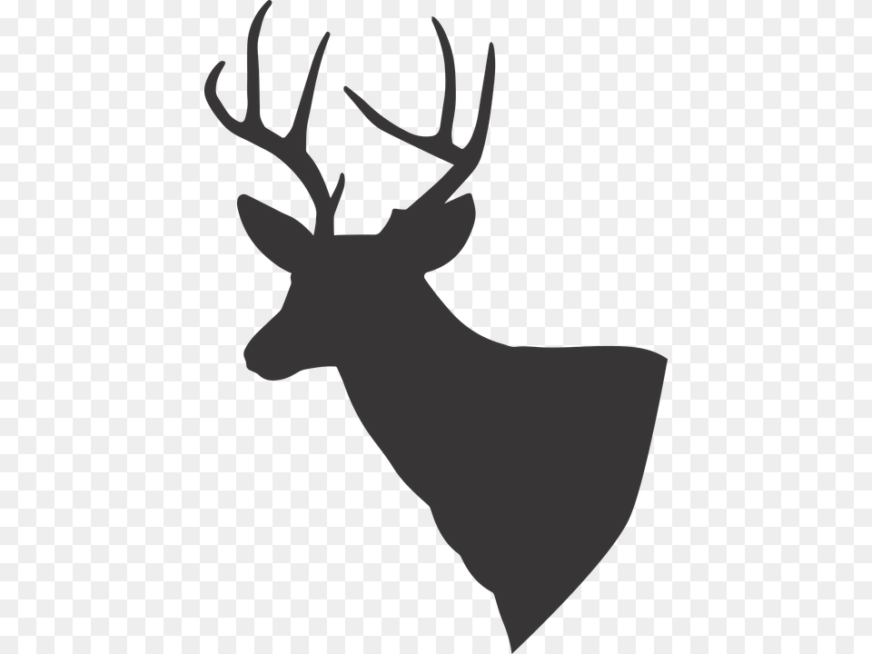 Transparent Deer Antler Clipart White Tailed Deer In Silhouette, Animal, Mammal, Wildlife, Elk Free Png