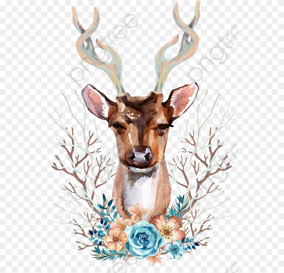 Transparent Deer Antlers Clipart Deer Front View, Animal, Mammal, Wildlife, Antler Png