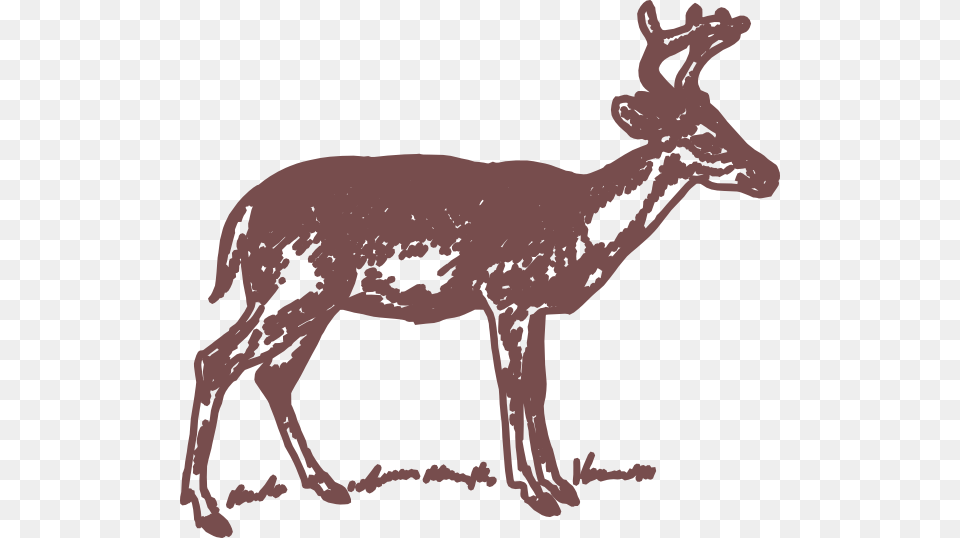 Deer Deer Wildlife Reindeer Clipart For Clip Art Black And White Deer, Animal, Mammal, Antelope, Impala Free Transparent Png