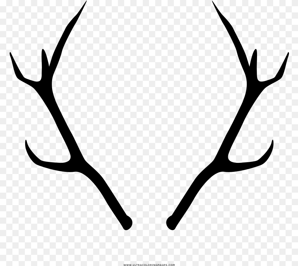Transparent Deer Horns, Gray Png