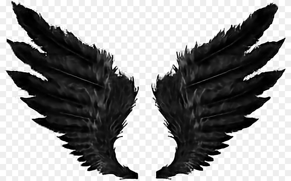 Transparent Demon Wings Black Angel Wings, Person Free Png
