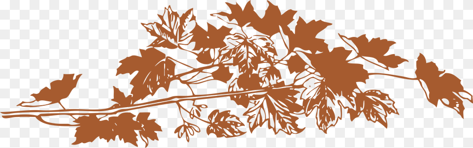 Transparent Designs Fall Leaves, Leaf, Plant, Tree, Oak Free Png Download