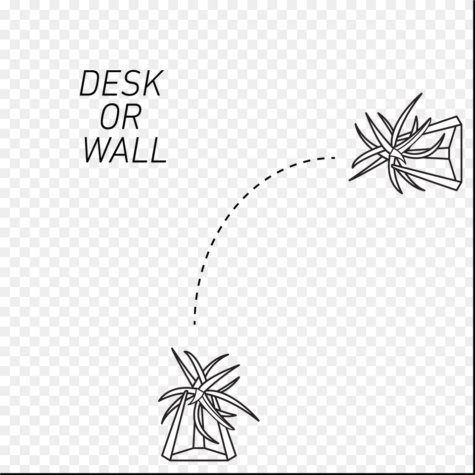 Desk Plant Illustration, Fireworks Free Transparent Png