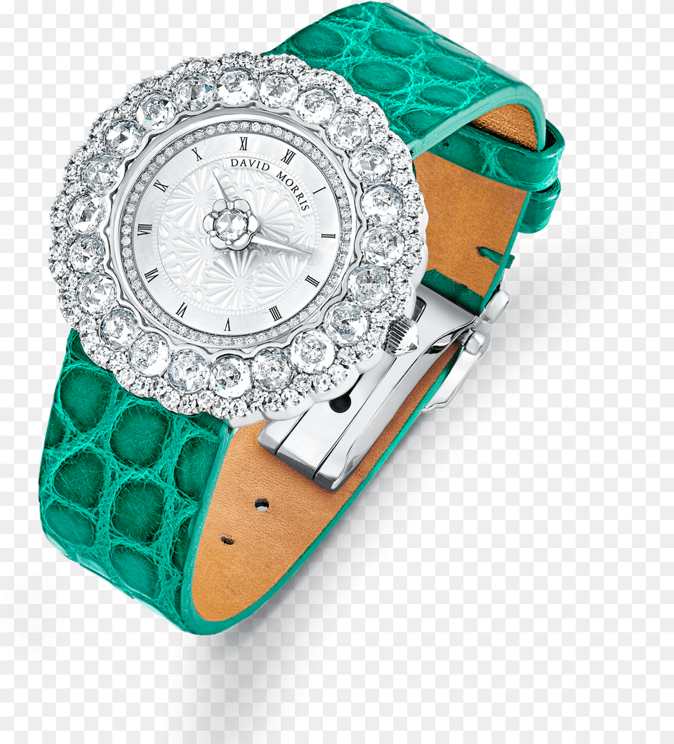 Transparent Diamond Watch Analog Watch, Arm, Body Part, Person, Wristwatch Free Png Download