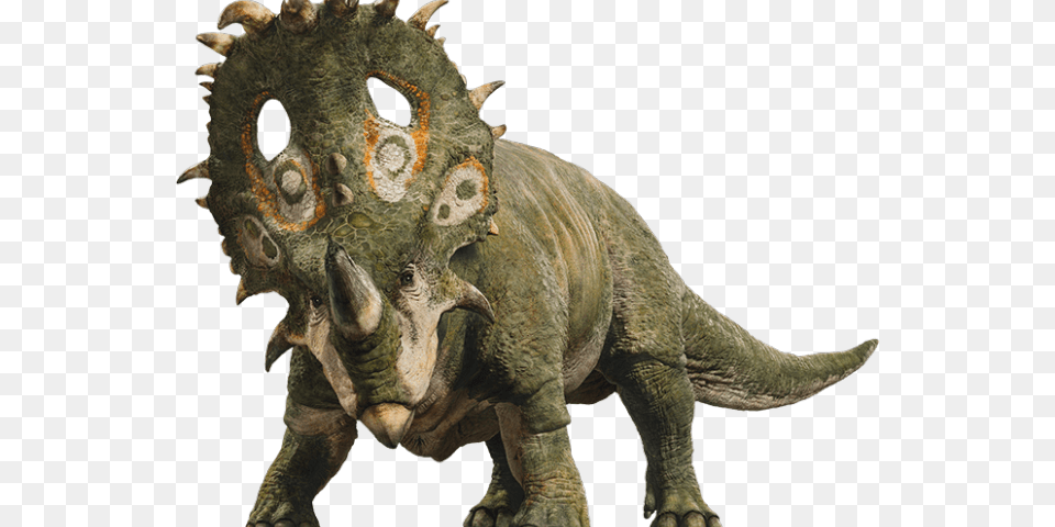 Transparent Dinosaur Clipart Sinoceratops Jurassic World Fallen Kingdom, Animal, Reptile Free Png