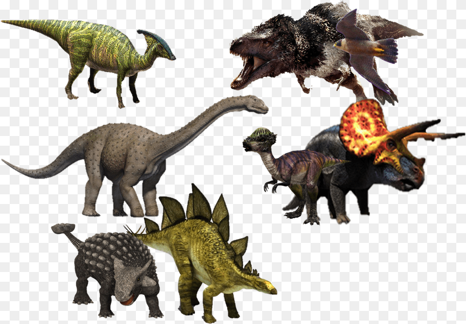Transparent Dinosaur Dinosaurs, Animal, Reptile, T-rex, Bird Png
