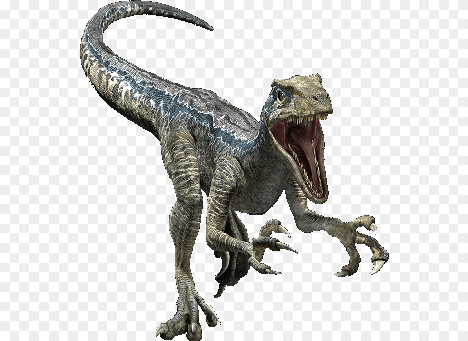Transparent Dinosaur Jurassic World Evolution Velociraptor, Animal, Electronics, Hardware, Reptile Png